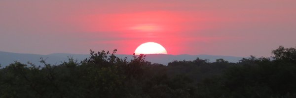 Markable Profile Banner