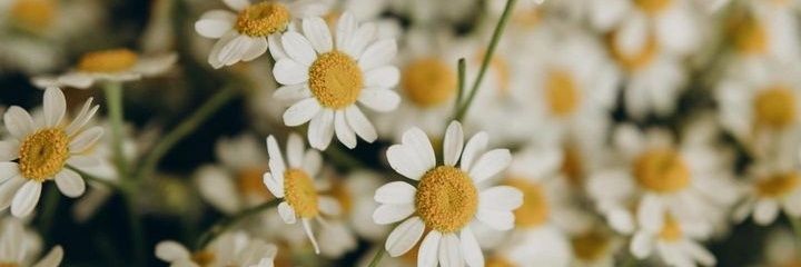 thynathyna85's profile banner image