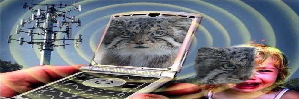 postwarmeme's profile banner image