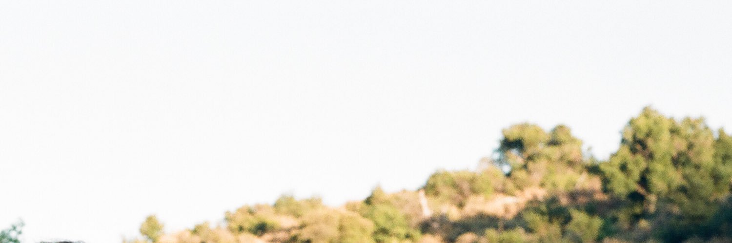 Alex Posito banner