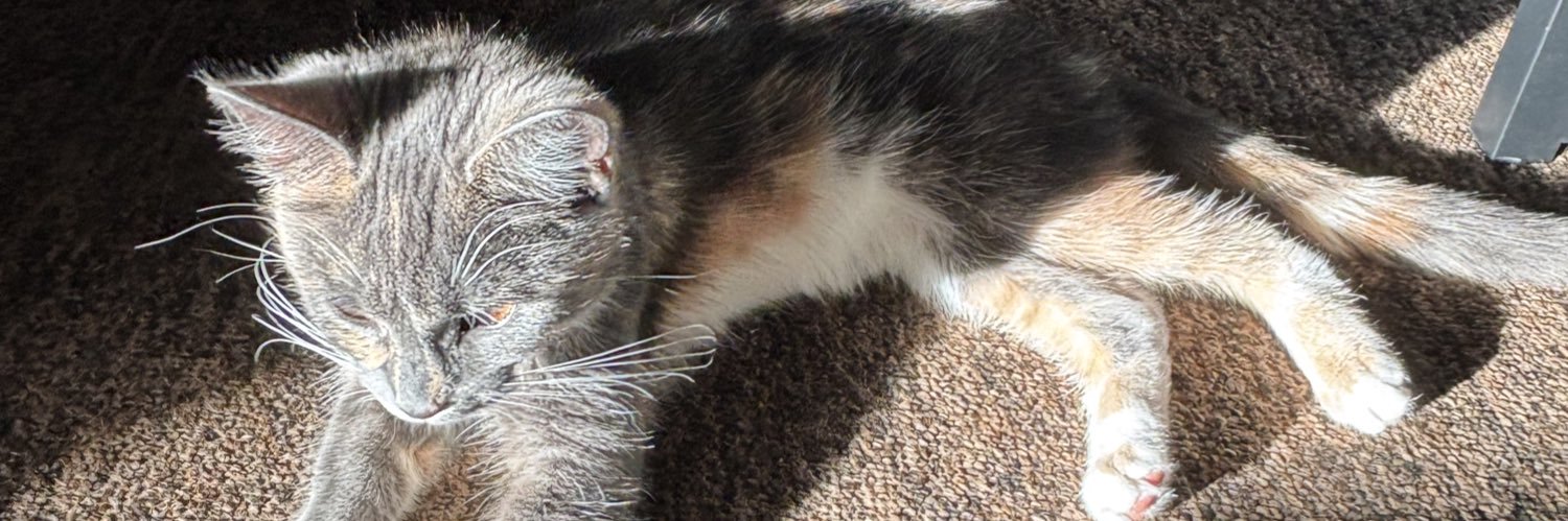 Mrsdjsuds's profile banner image