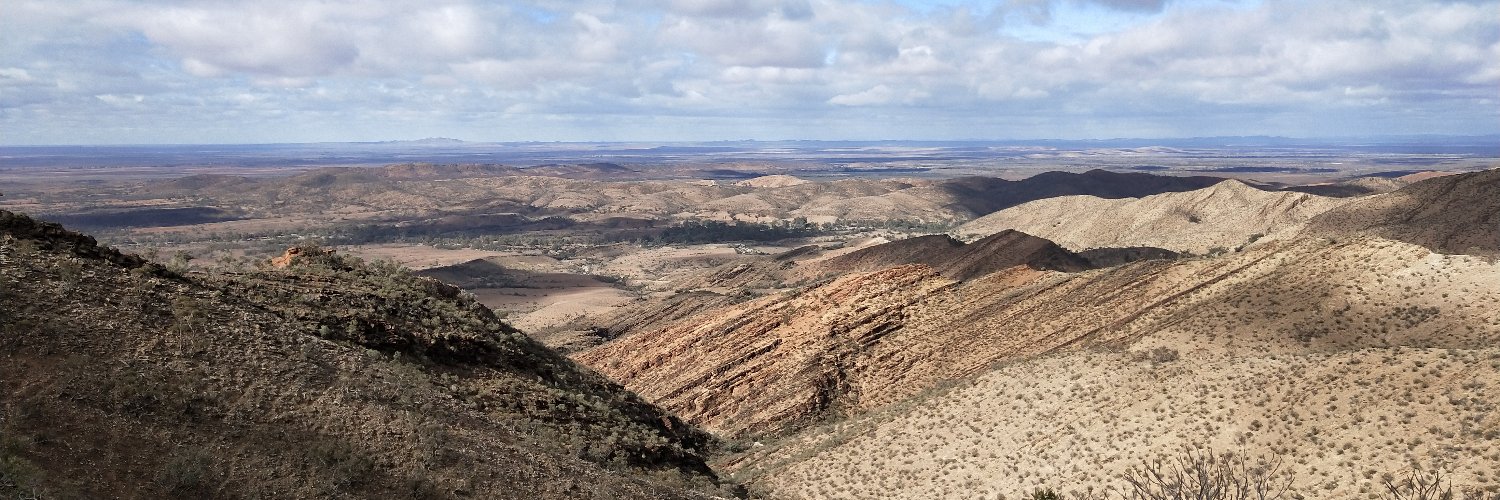Marissa J Betts banner