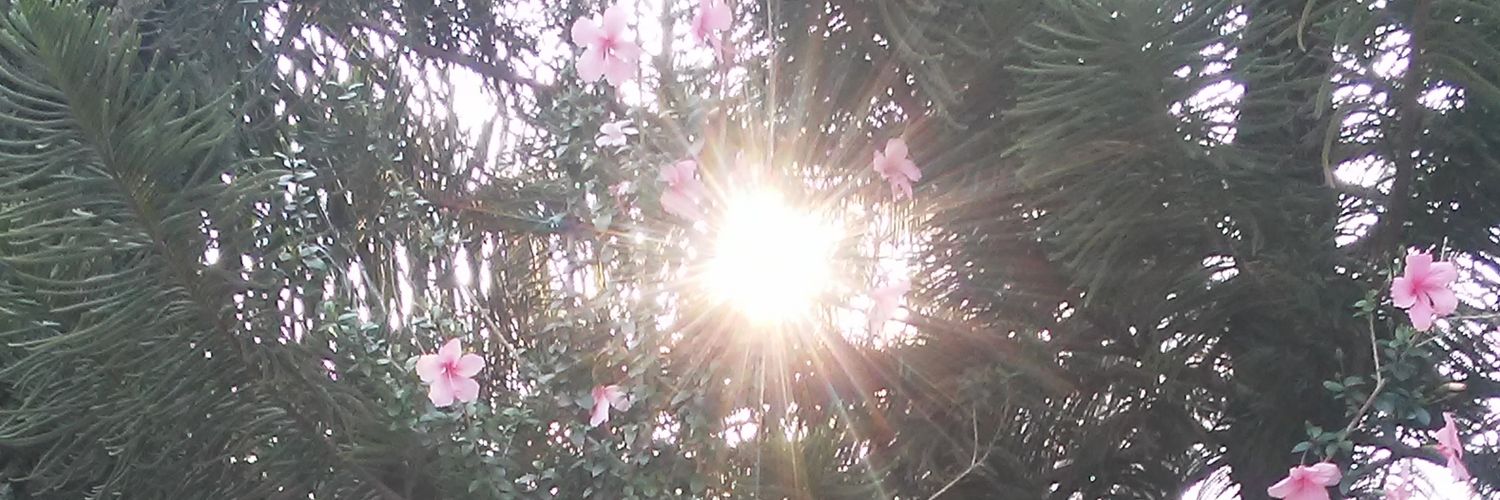 TereSupernova's profile banner image