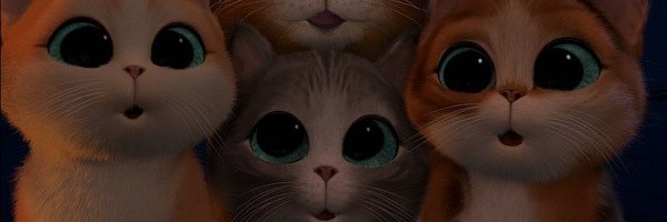 BlackbeanCat's profile banner image