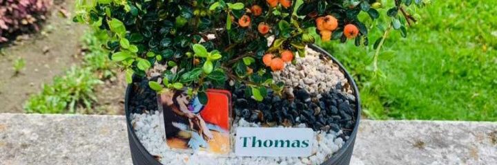 Violeta_Pauli's profile banner image