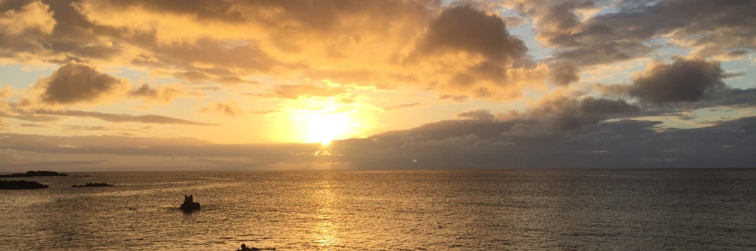 AlinaRonsonet's profile banner image