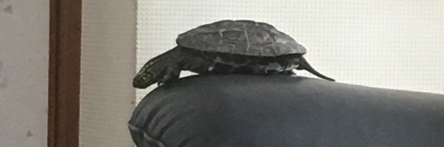 1ha_coco's profile banner image