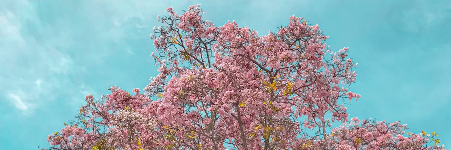 aikah83's profile banner image