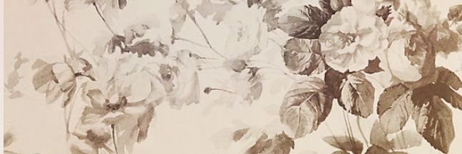 Aangtweets's profile banner image