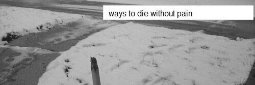 demitzsgdr's profile banner image