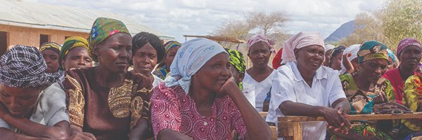 The Inspection Panel banner
