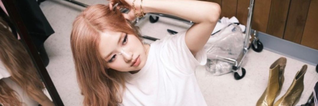 RoseCornelia22's profile banner image