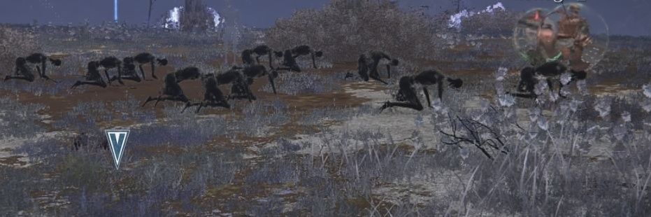 natudaidai's profile banner image