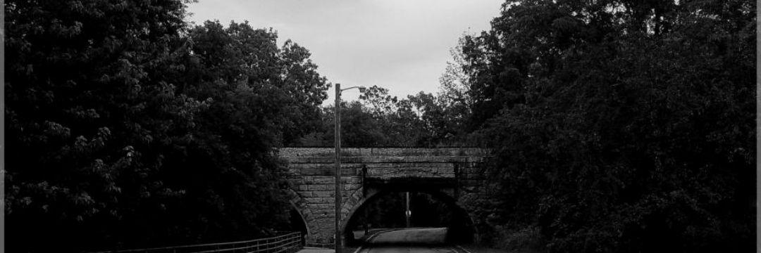 xJMDS's profile banner image