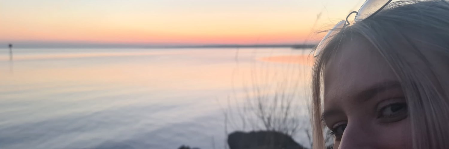 ____SarahQuinn's profile banner image