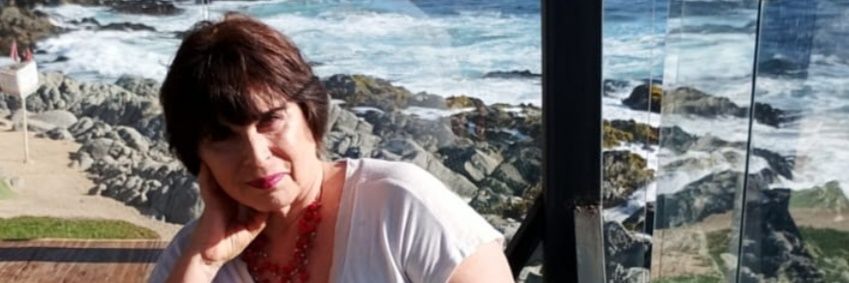 carolinadoris banner