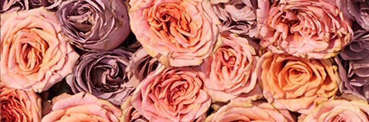 D_Rayy94's profile banner image