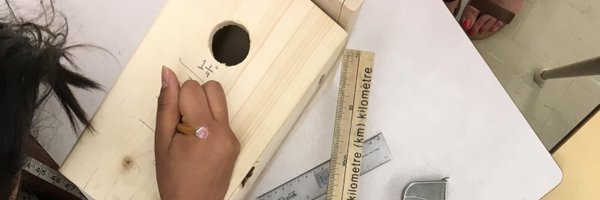 LindaleMath Profile Banner