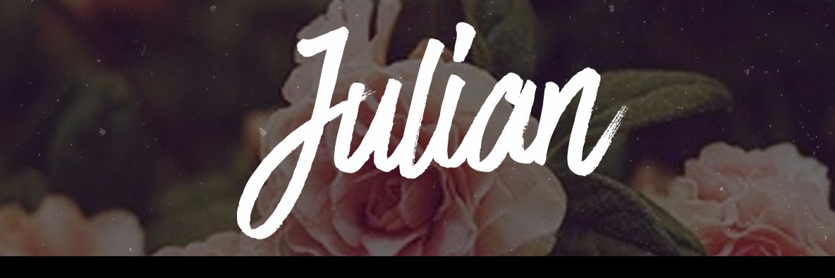 qL_Julian's profile banner image
