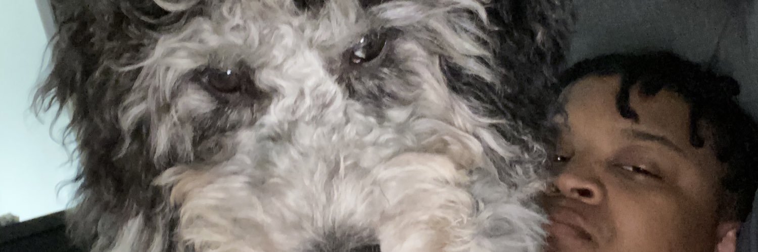 BakeryStee's profile banner image
