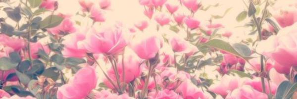 OnlyOneRAP's profile banner image