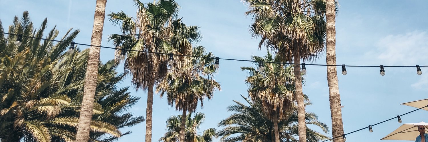 ciarabenson_'s profile banner image