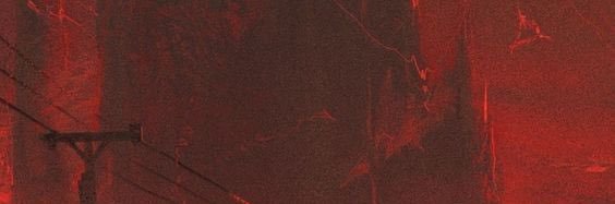 tangy ᯓ✦⁷(toji h8ter) banner