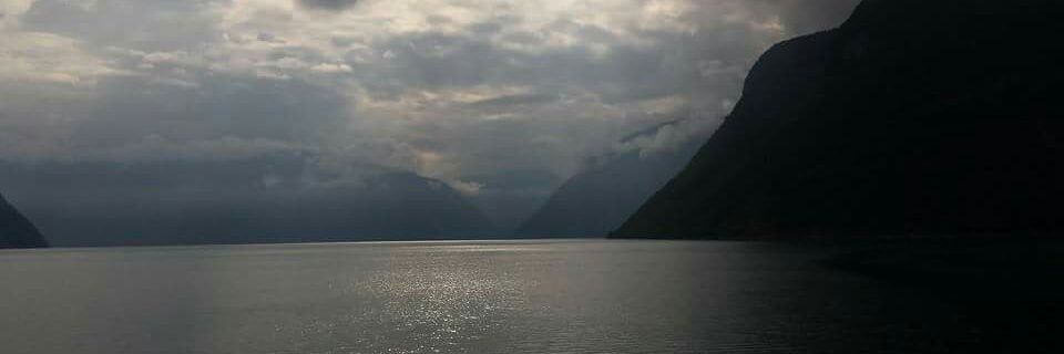 Willem_Dtc's profile banner image