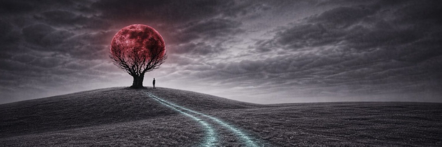 _cheblela_'s profile banner image