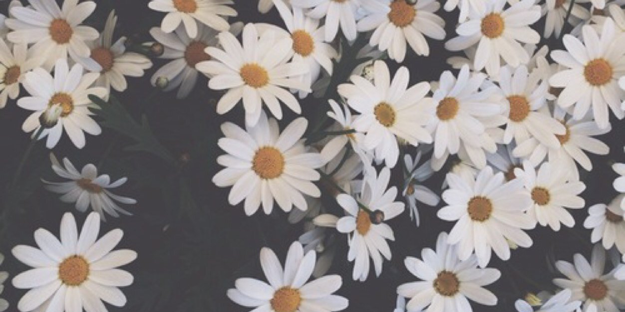 yokt34's profile banner image