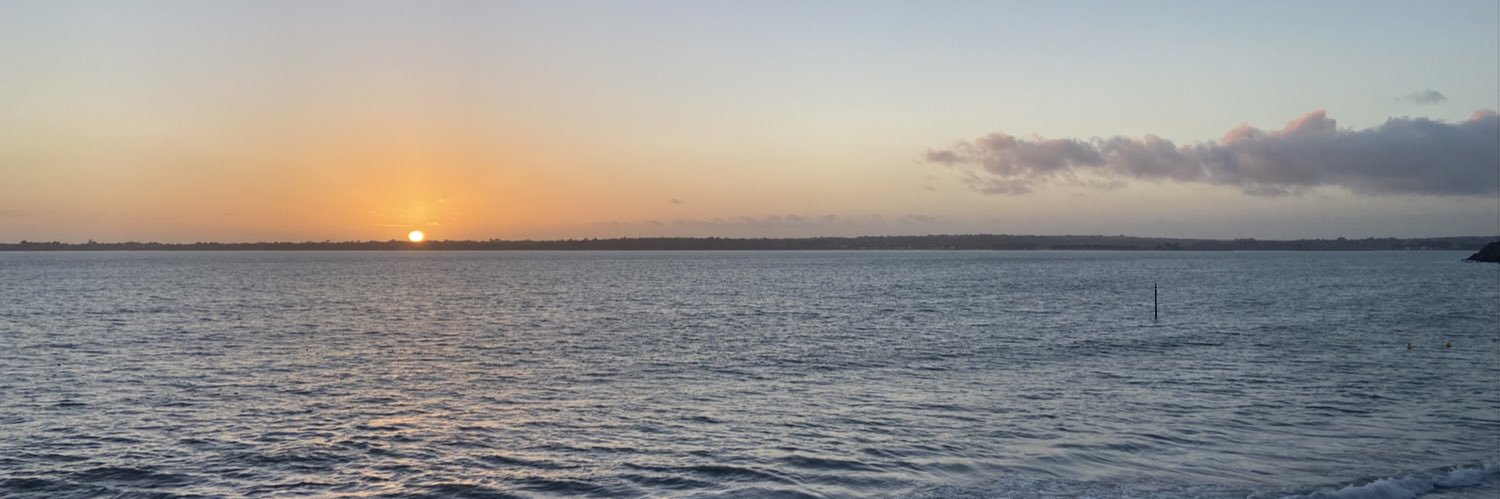 Tetedepingouin's profile banner image