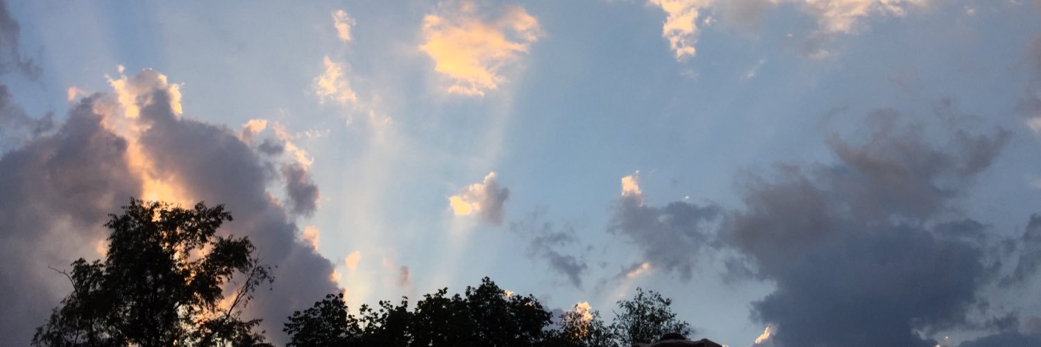 Nicole Zahn banner