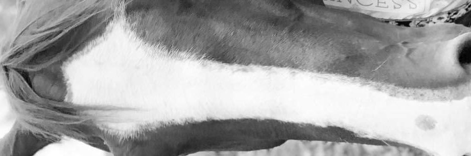 tunde112's profile banner image