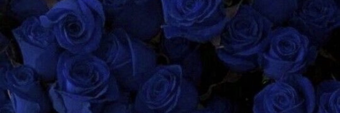 lorenaversiane's profile banner image