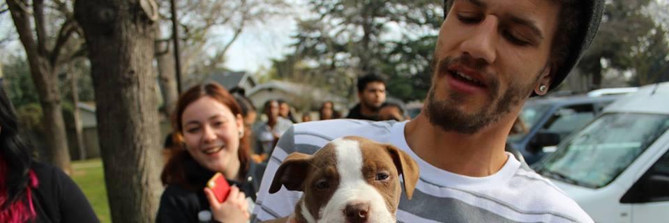 4RFDogDays's profile banner image