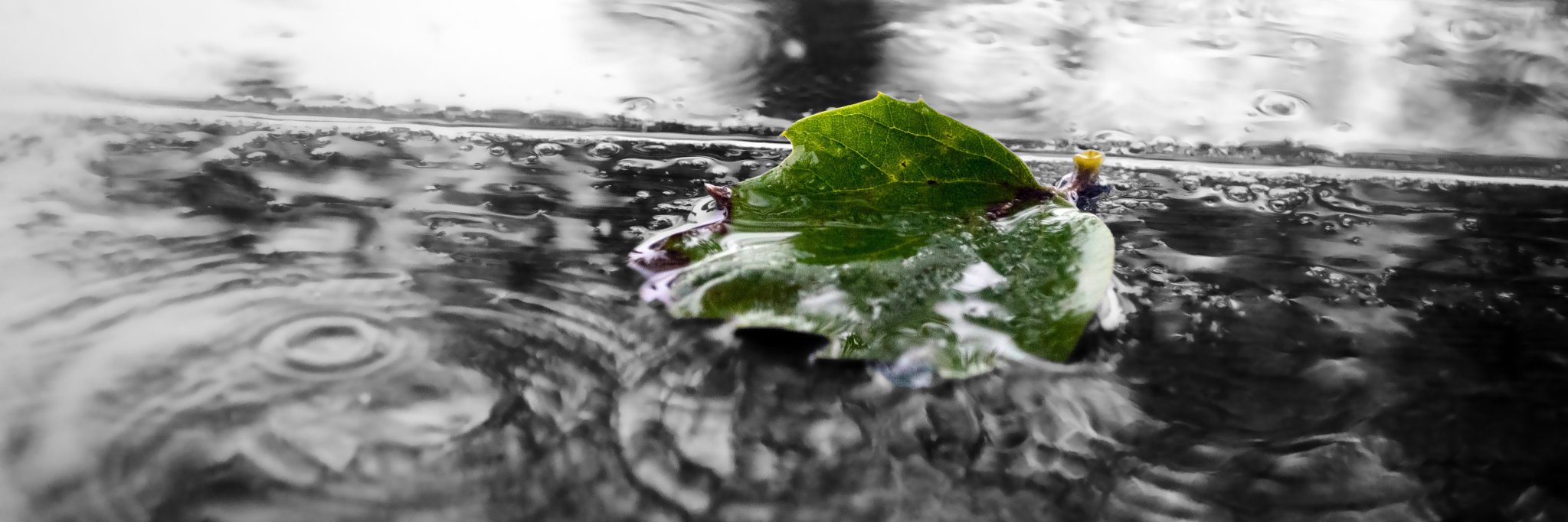 floodresiliency's profile banner image