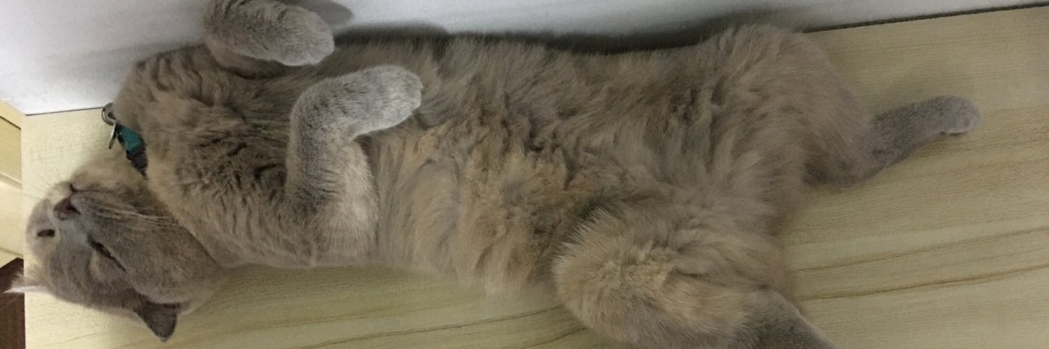 ตูนๆ Mode เอาใจช่วยน้อนปั่นงานด้วยข่ะ banner