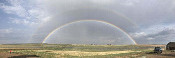 loridawn88 Profile Banner