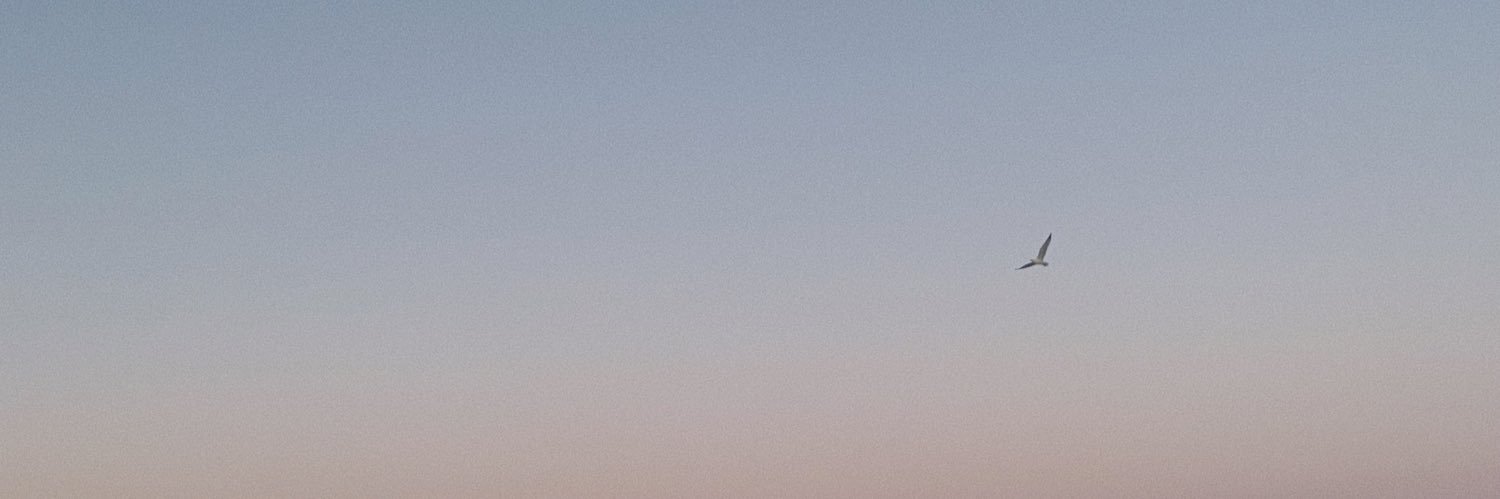 pppjjj_'s profile banner image