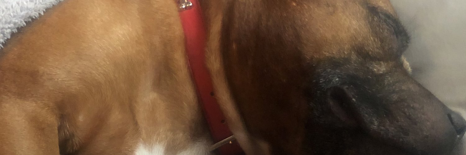 gillybean363's profile banner image