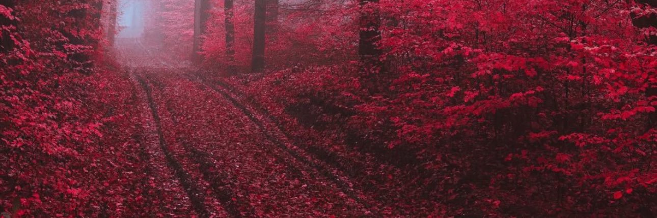 kaamhuncho's profile banner image