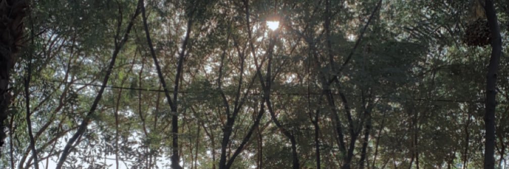x_noy7's profile banner image
