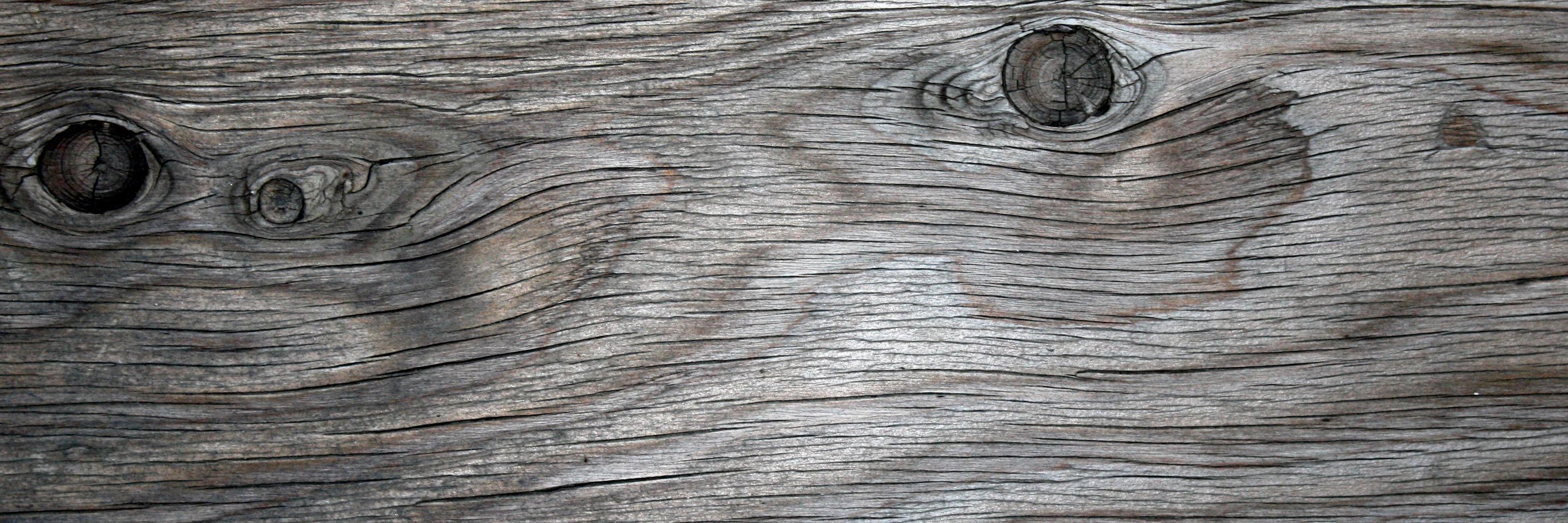 drichardsonfolk's profile banner image