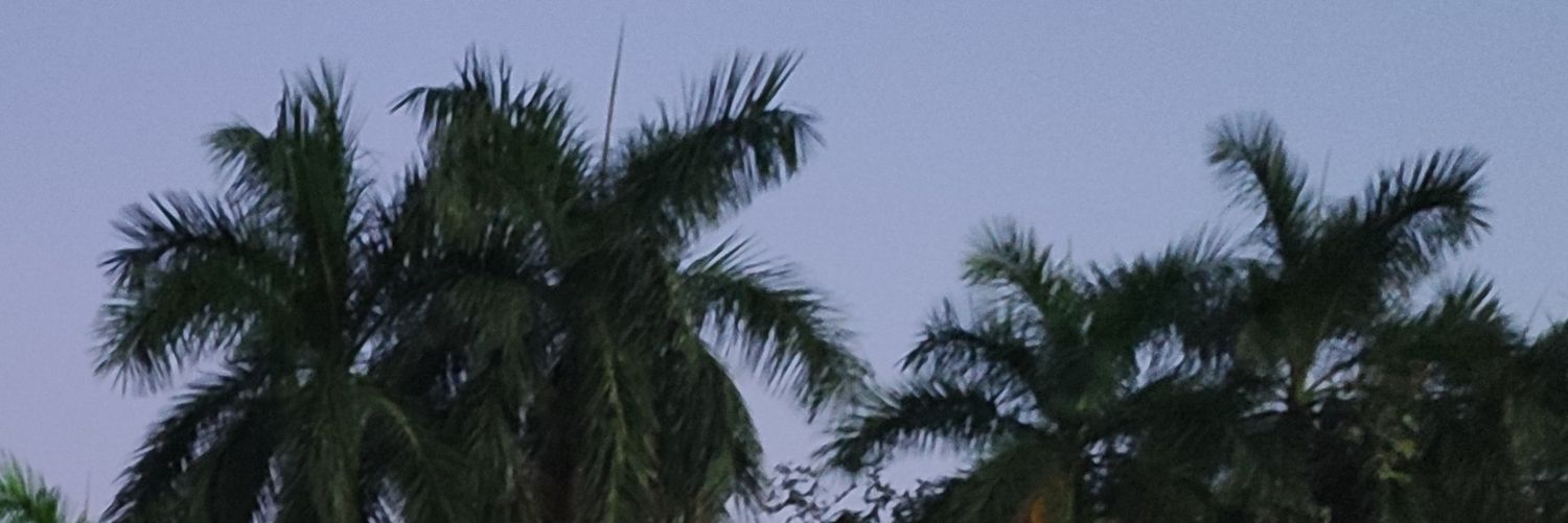 Roman_Roshan's profile banner image