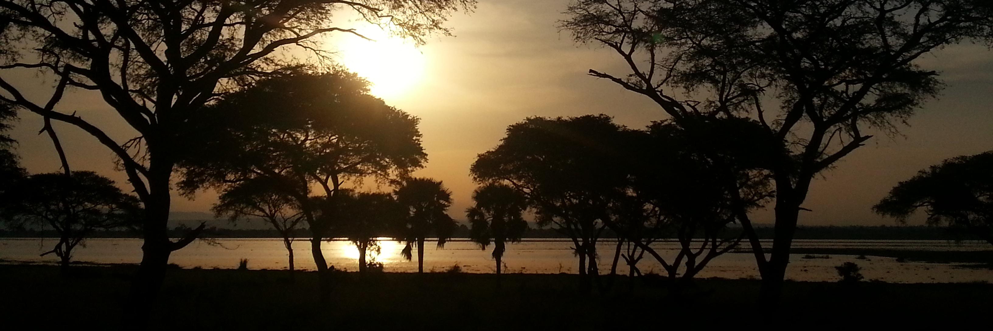 VinceMusisi's profile banner image