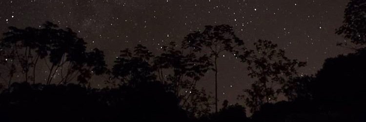 pauvvg's profile banner image