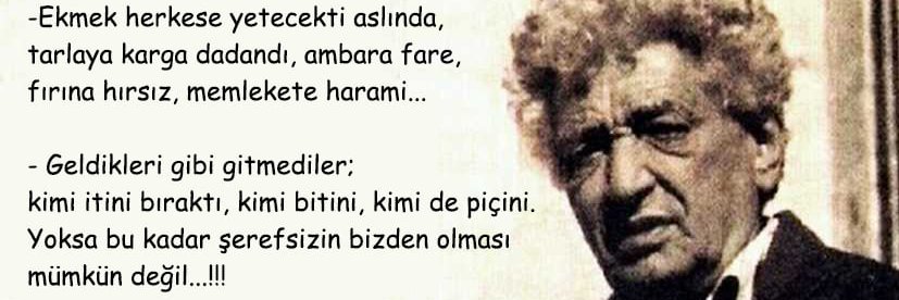 nidaersin's profile banner image