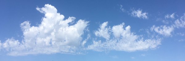 manfromroto Profile Banner