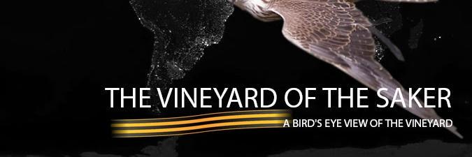 VineyardofSaker's profile banner image