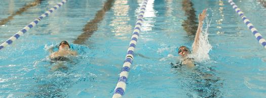 BuckleySwimClub banner